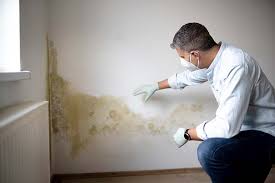 Best Asbestos and Lead Testing During Mold Inspection  in Soquel, CA